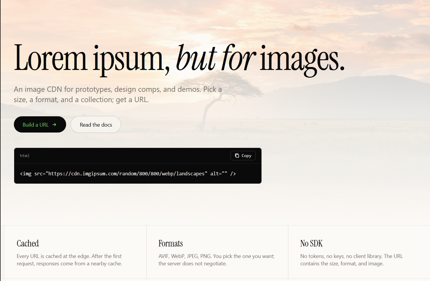 imgipsum — generated placeholder image