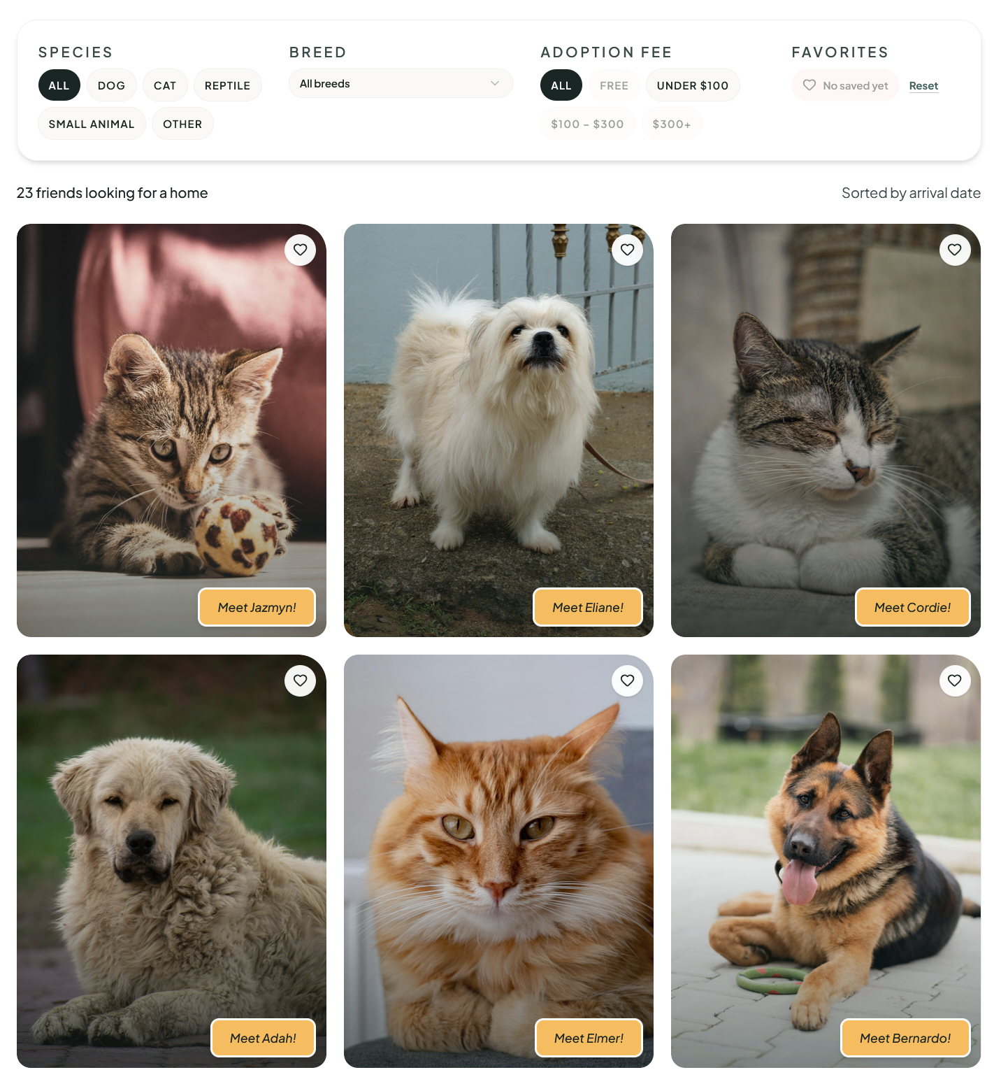 Lorem Shelter — admin pet record editor